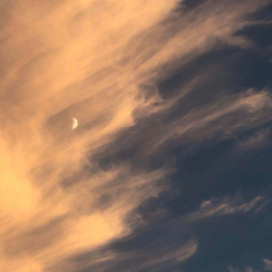 欧美黑人猛烈ⅩXXX狂暴
